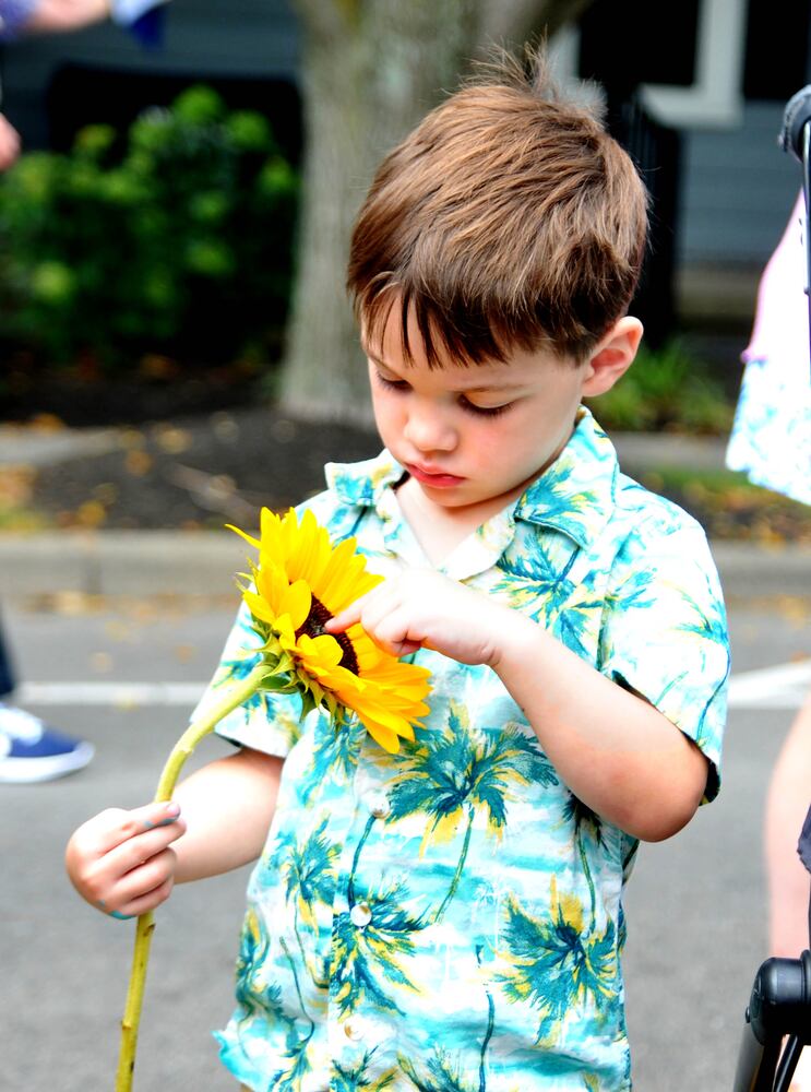 Did we spot you at Springboro's ARTFest on Main 2023?