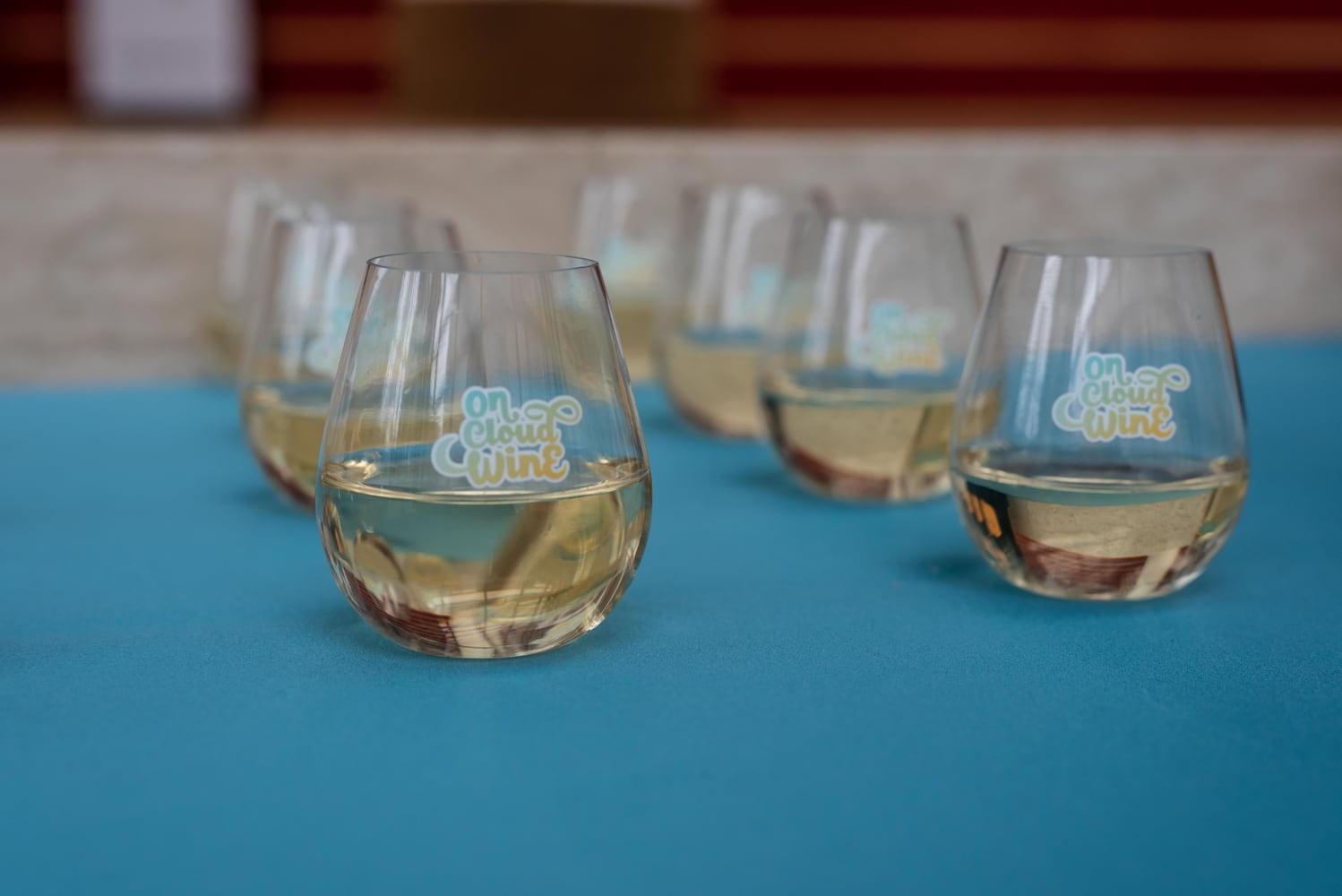 PHOTOS: Did we spot you at On Cloud Wine at the Schuster Center?