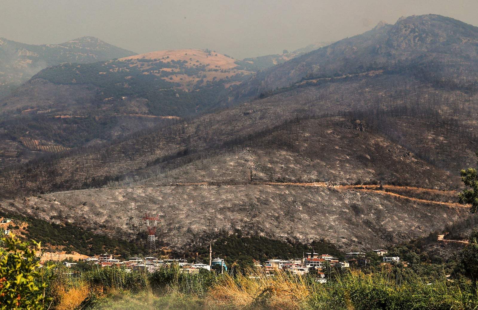 A view shows charred trees and scorched land following a wildfire that swept through the area in Bursa, Turkey, Sunday July 27, 2025. (Sercan Ozkurnazli/DIA Images via AP)