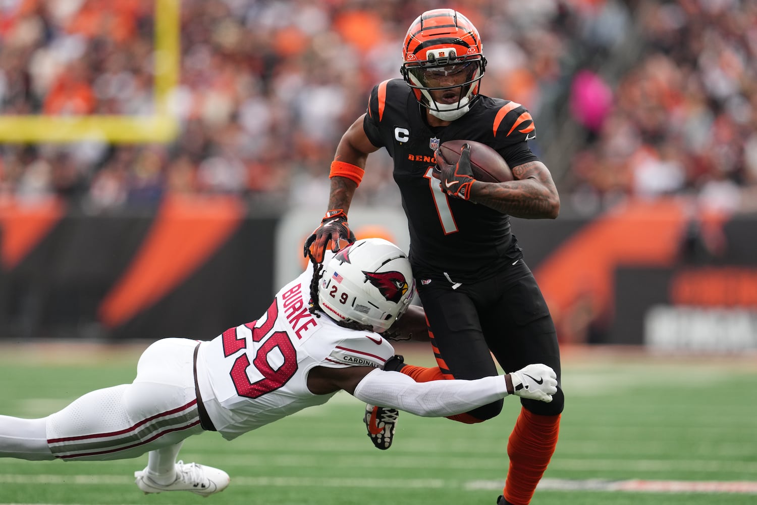 Cardinals Bengals Football