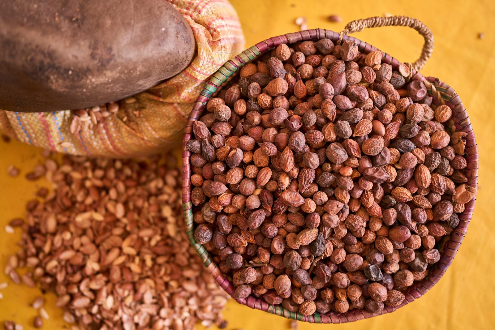 Argan seeds are placed in a basket after getting cracked at a cooperative that extracts and produces argan oil and products, Essaouira, Morocco, Thursday, May 22, 2025. (AP Photo/Mosa'ab Elshamy)