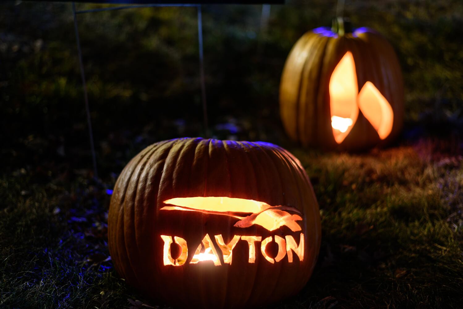 PHOTOS: The Stoddard Avenue Pumpkin Glow