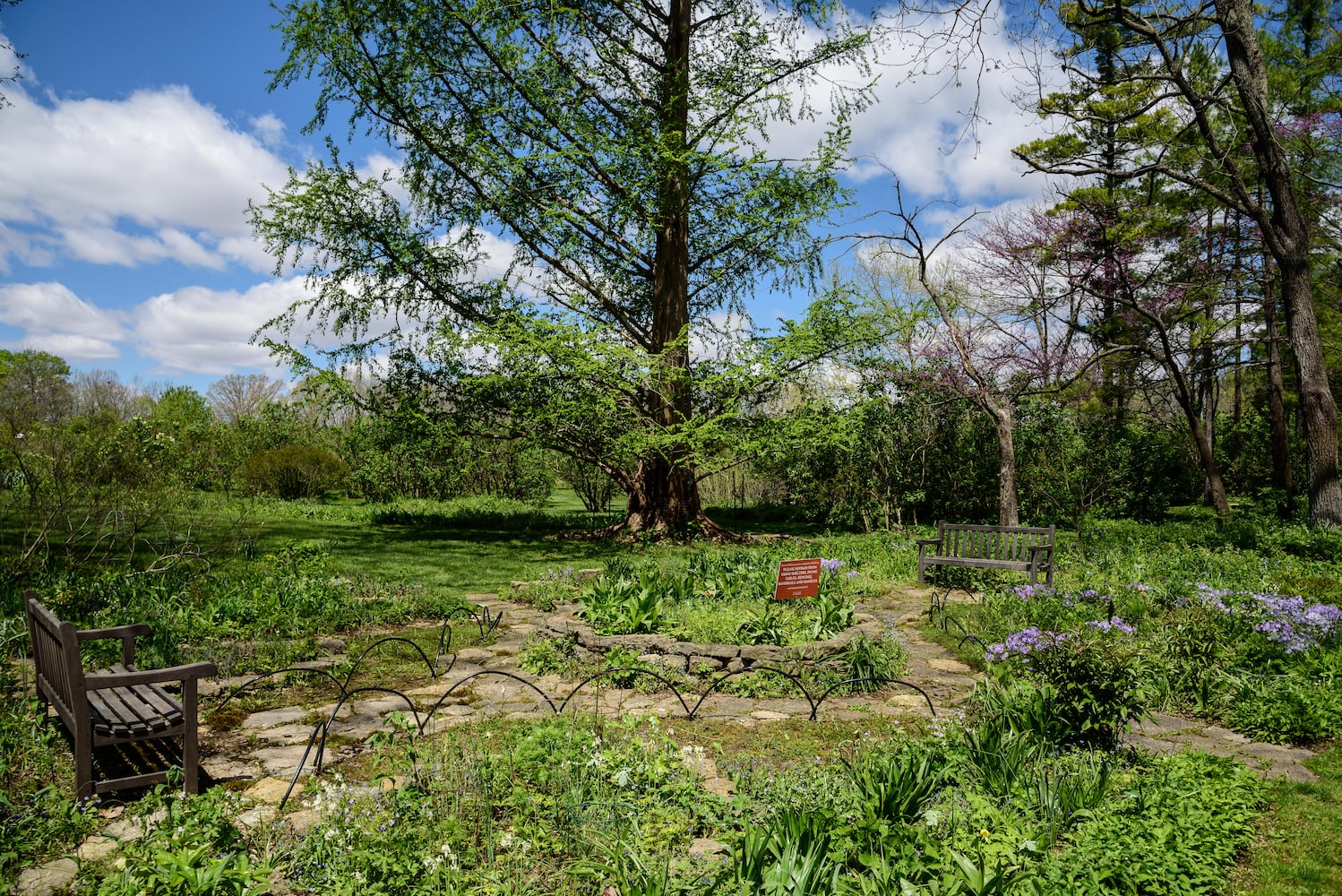 PHOTOS: Gorgeous Aullwood Garden is in full bloom
