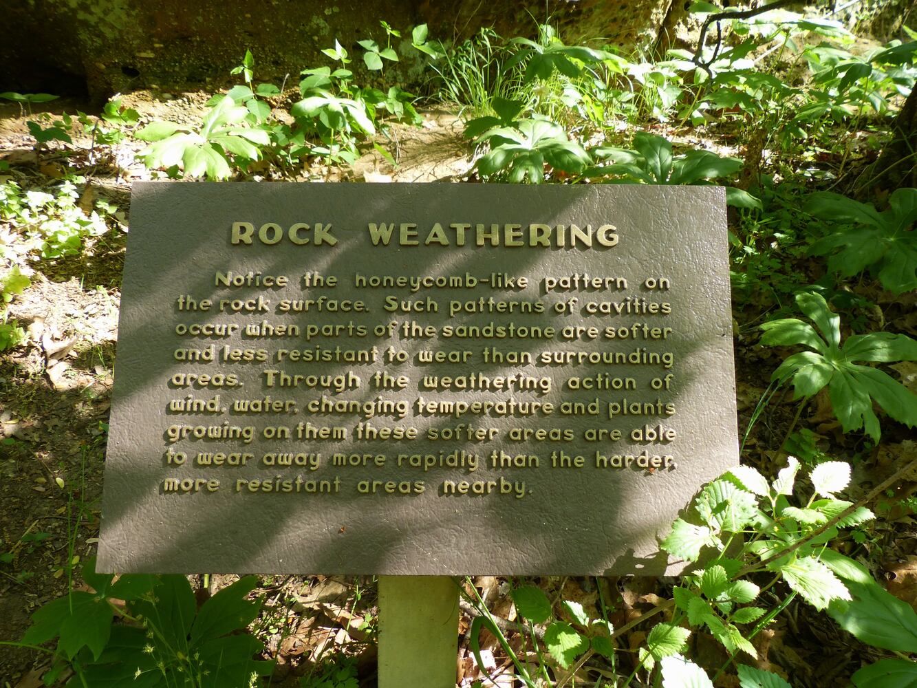 Leo Petroglyph State Memorial