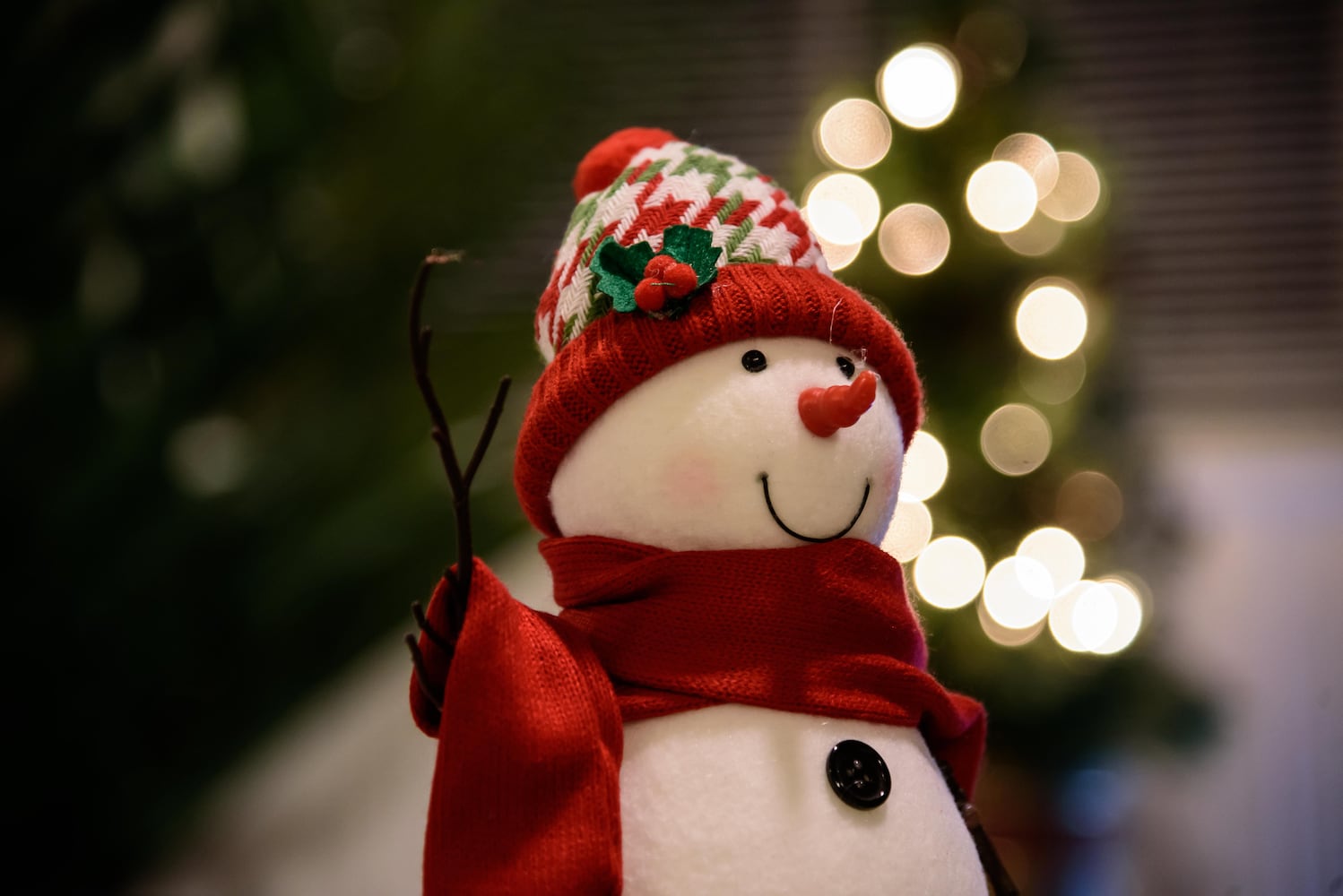 McPherson Town Holiday Home Tour