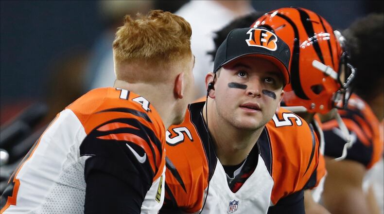 HOUSTON, TX - DECEMBER 24: AJ McCarron #5 of the Cincinnati Bengals talks with Andy Dalton #14 of the Cincinnati Bengals on the bench during the game against the Houston Texans at NRG Stadium on December 24, 2016 in Houston, Texas. (Photo by Tim Warner/Getty Images)