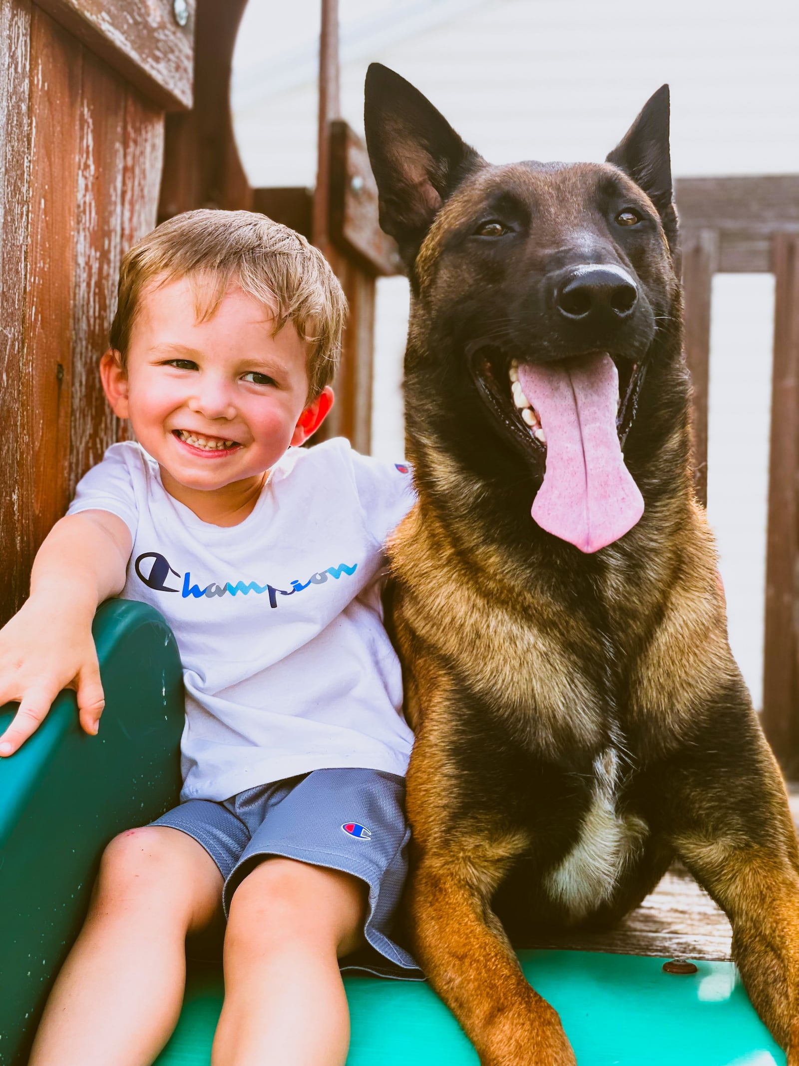 A couple of years ago, Dayton K-9 officer Scooby Doo posed side by side with his best pal Declan, the then four-year-old son of Dayton Police Officer Nathan Speelman who was Scooby’s handler. Scooby died Wednesday night after a battle with cancer. CONTRIBUTED PHOTO