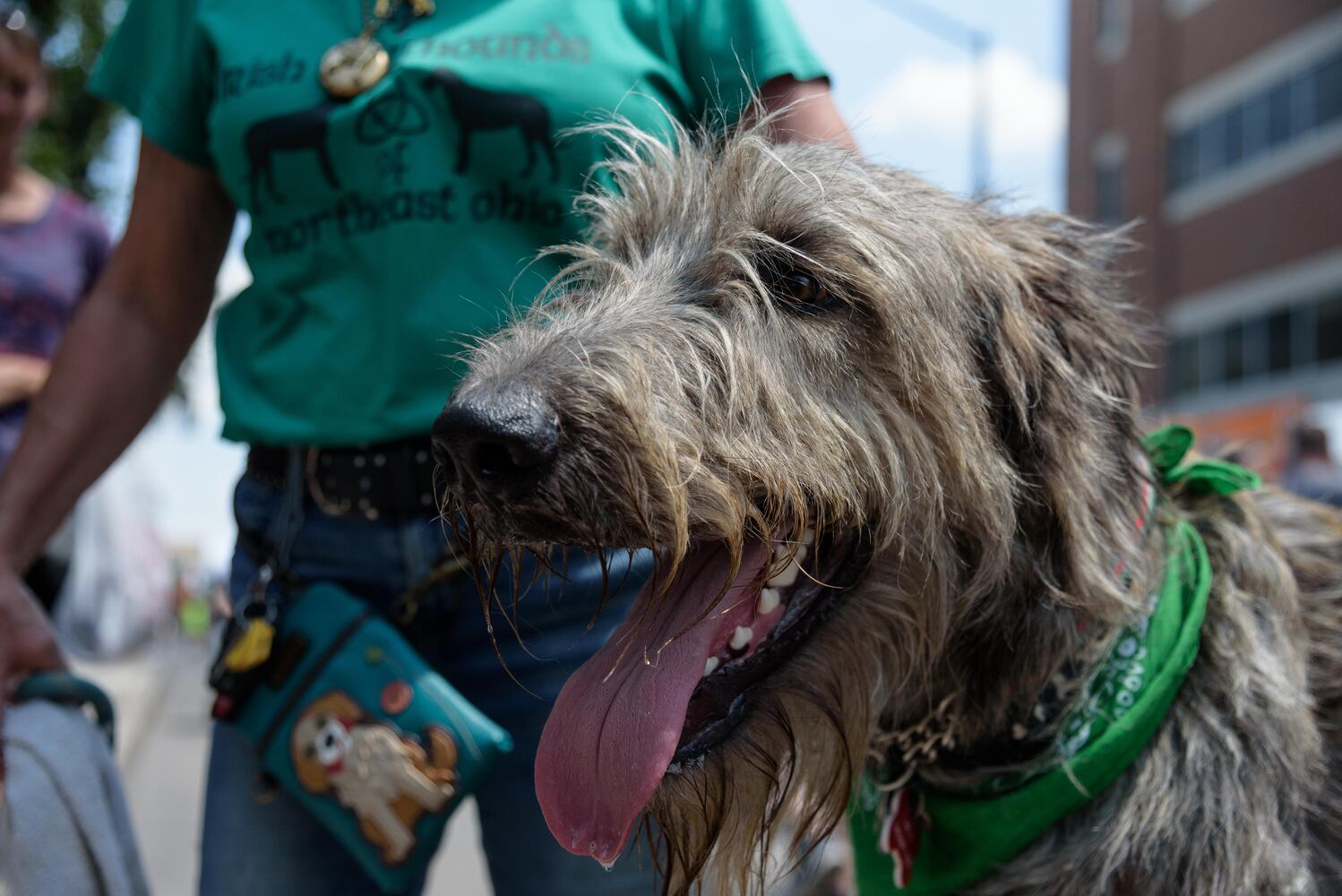 PHOTOS: Did we spot you at Celtic Festival in downtown Dayton?