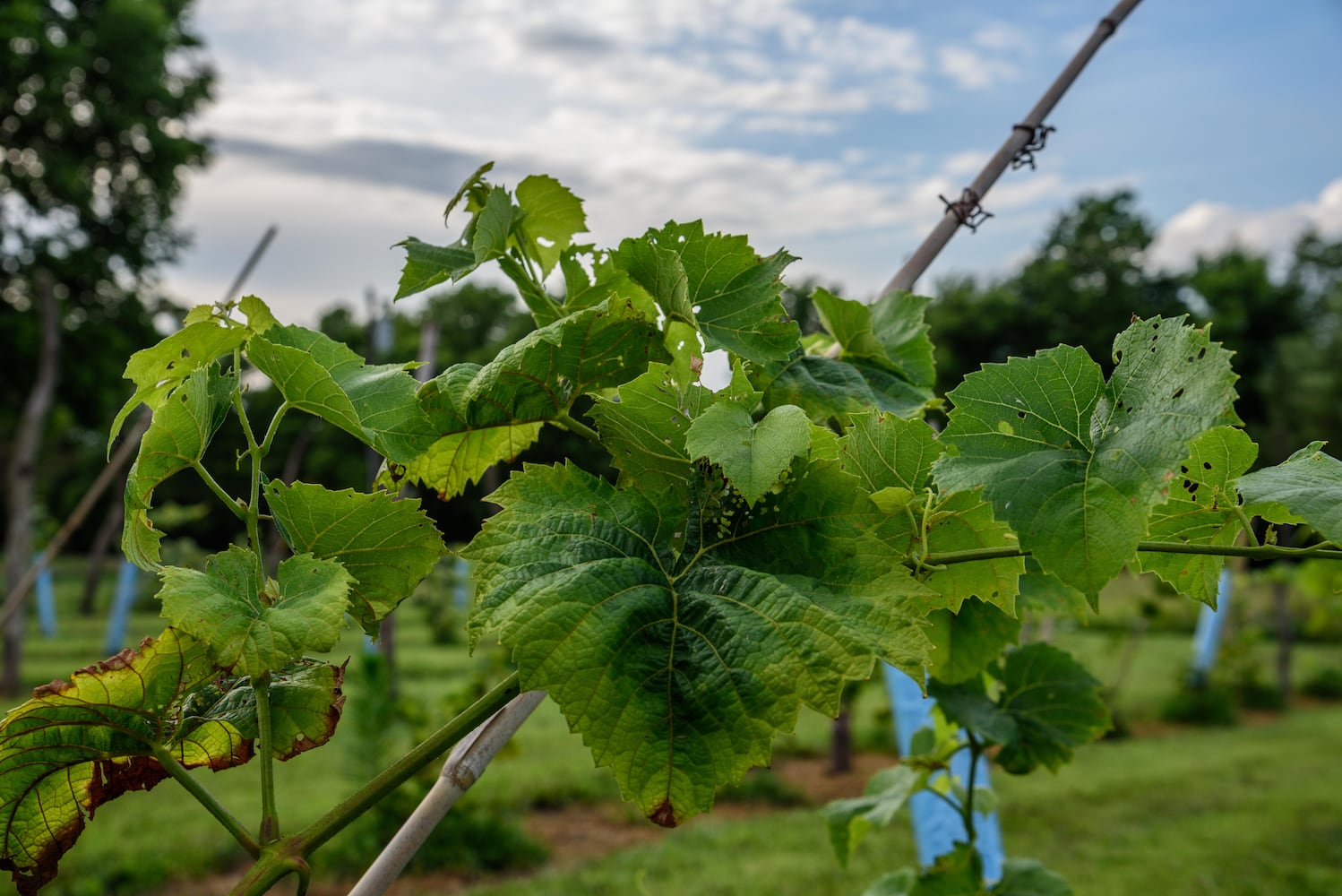 PHOTOS: Our first look inside the newly opened Twenty One Barrels Cidery & Winery