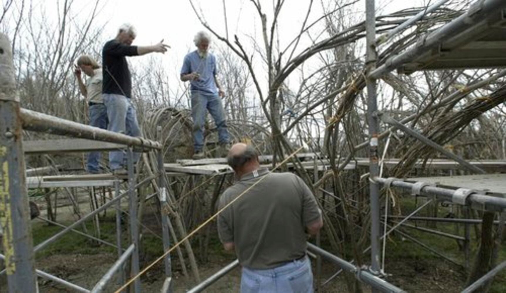 "Woven Wood" artist Patrick Dougherty