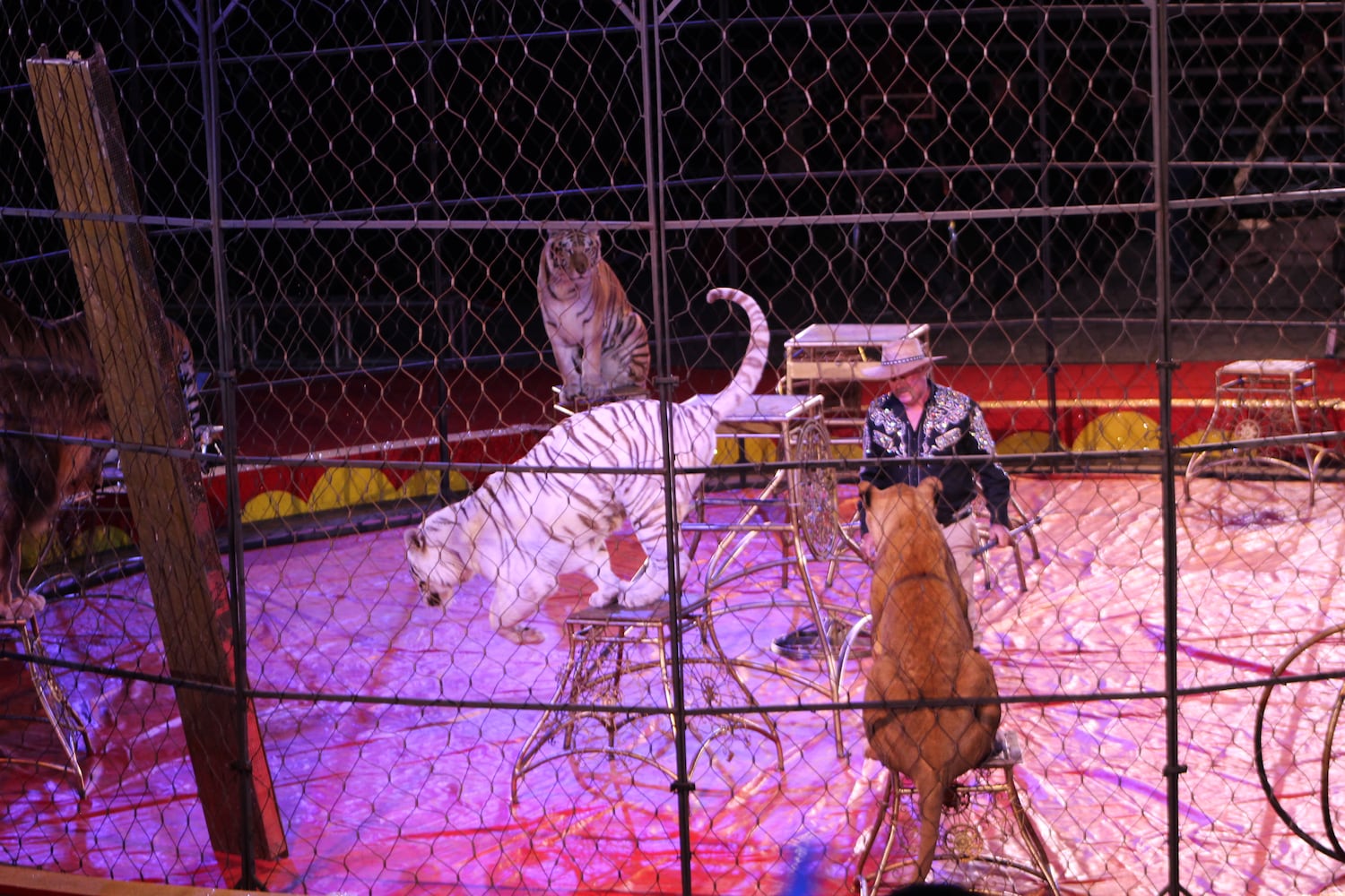 PHOTOS: Antioch Shrine Circus at UD Arena