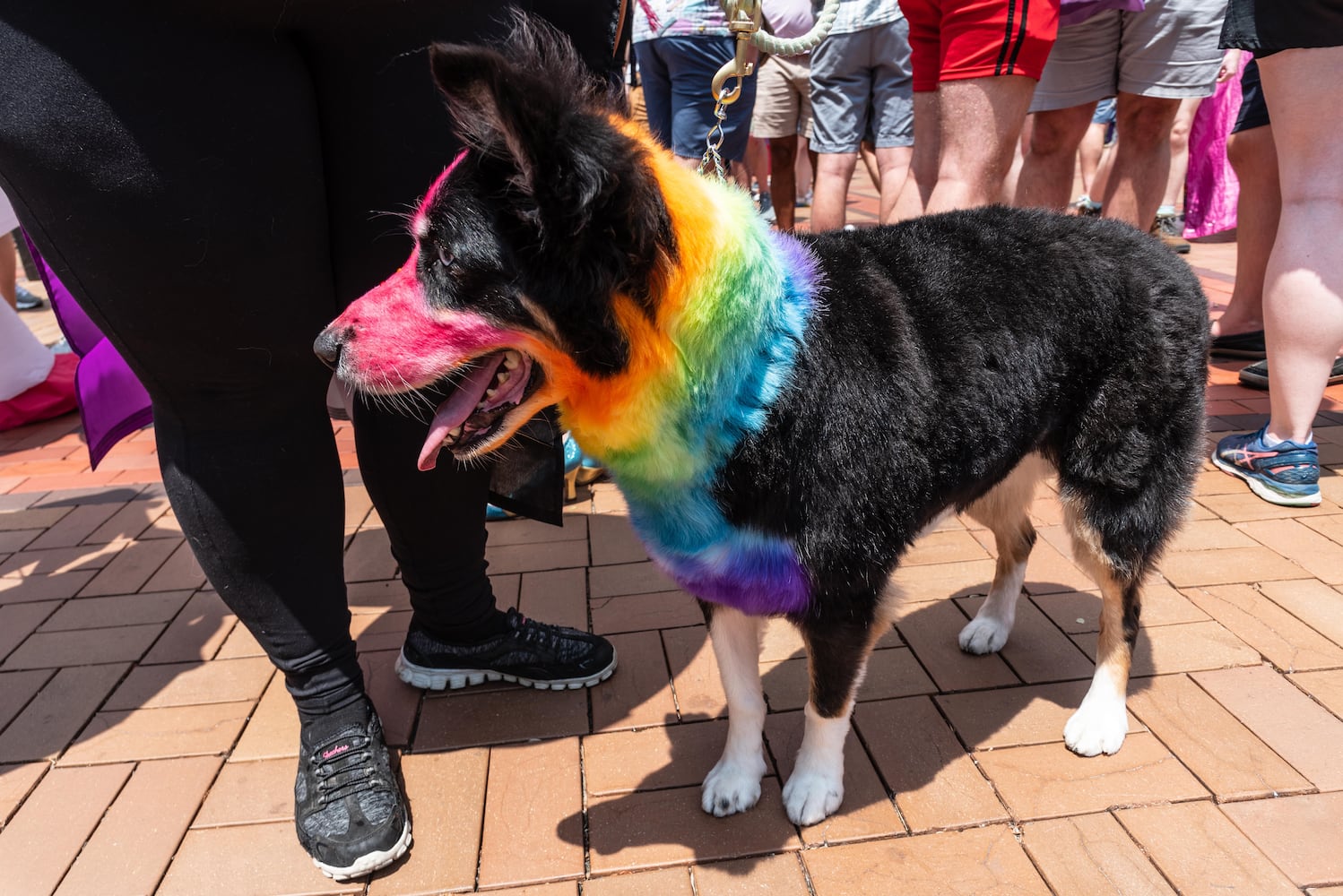 PHOTOS: Did we spot you at the Dayton Pride: United We Can Parade & Festival?