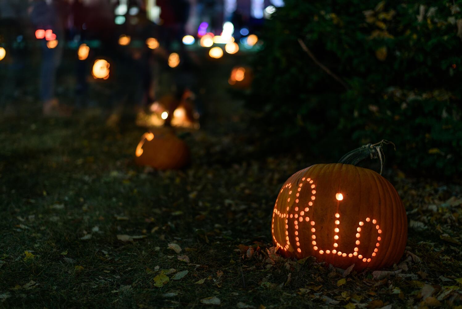 PHOTOS: The Stoddard Avenue Pumpkin Glow