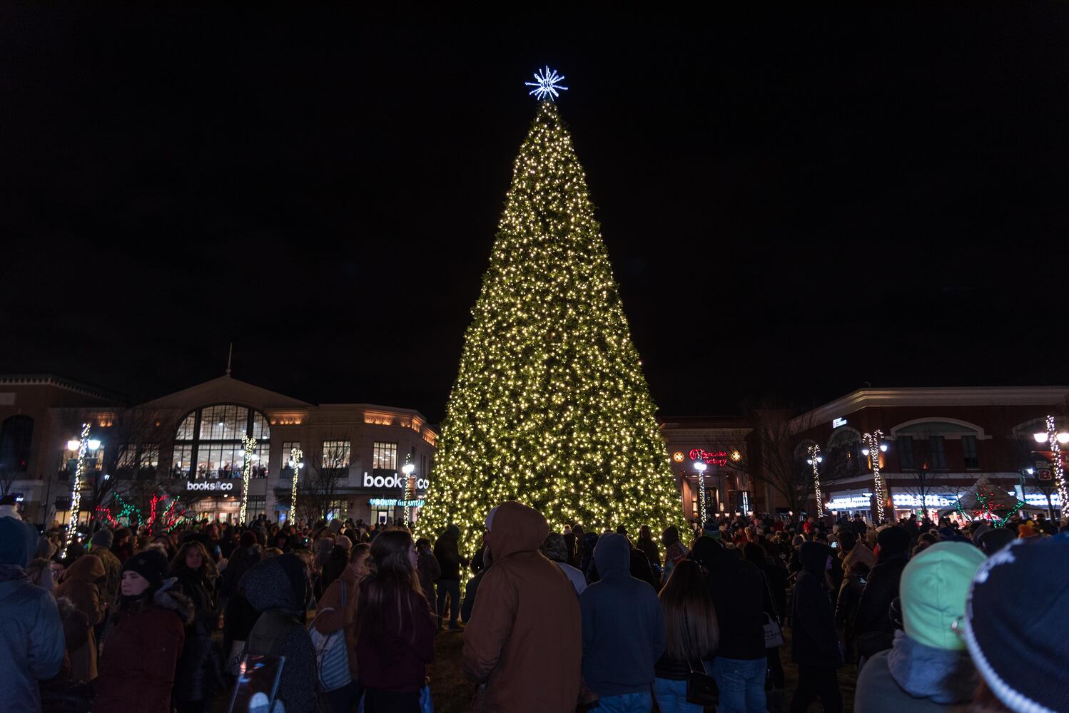 PHOTOS: Did we spot you at the Christmas Tree Lighting & Santa Arrival Parade at The Greene?