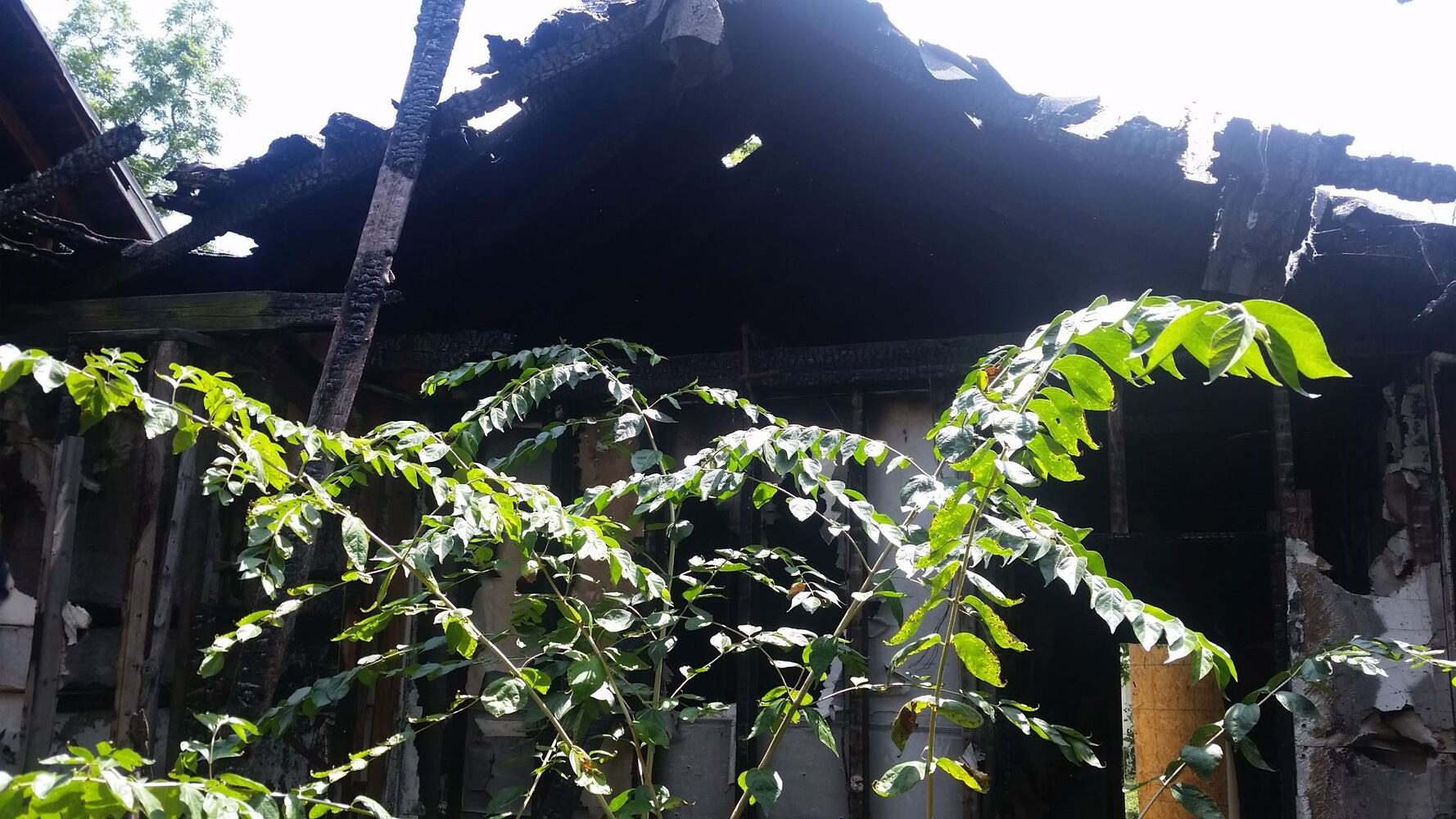 South Park home goes from burned out wreck to charming “new house”
