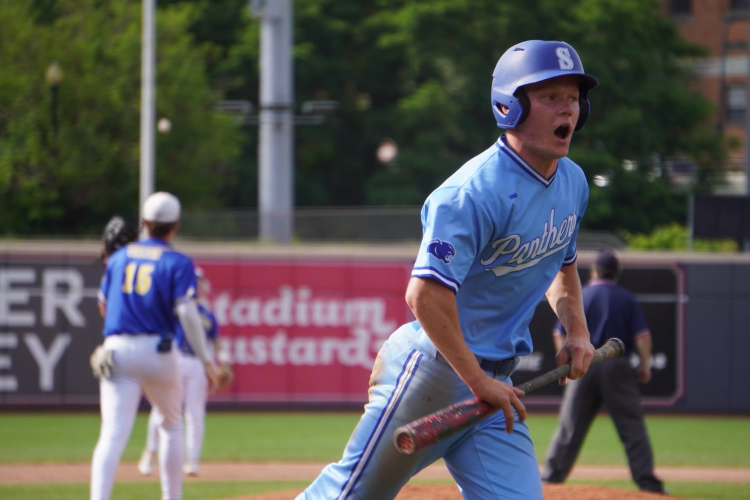 Springboro baseball