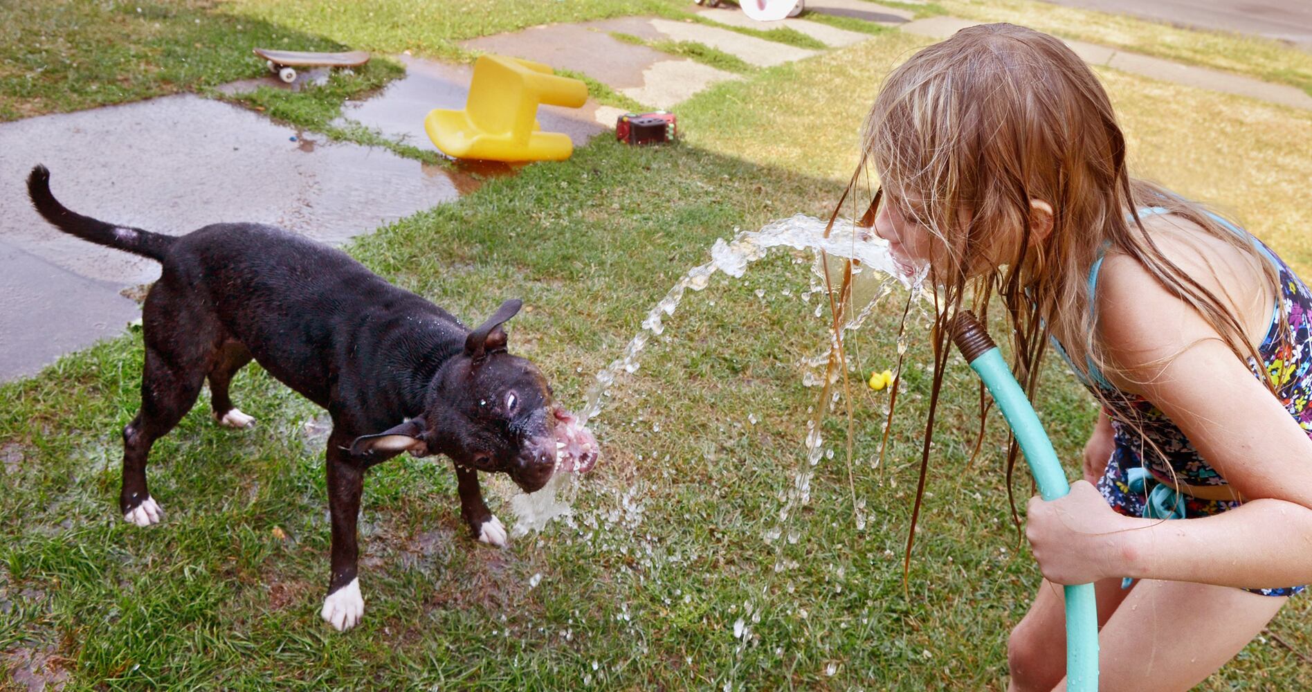 News hounds (7/19/12)