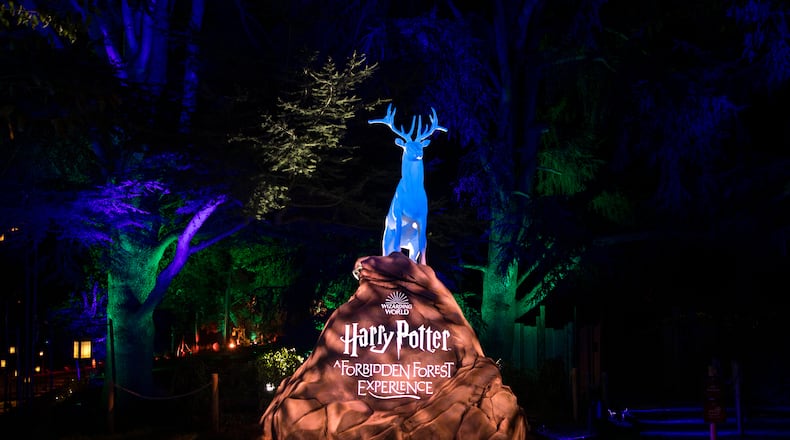 The immersive Harry Potter: A Forbidden Forest Experience will come to Loveland later this month. Contributed