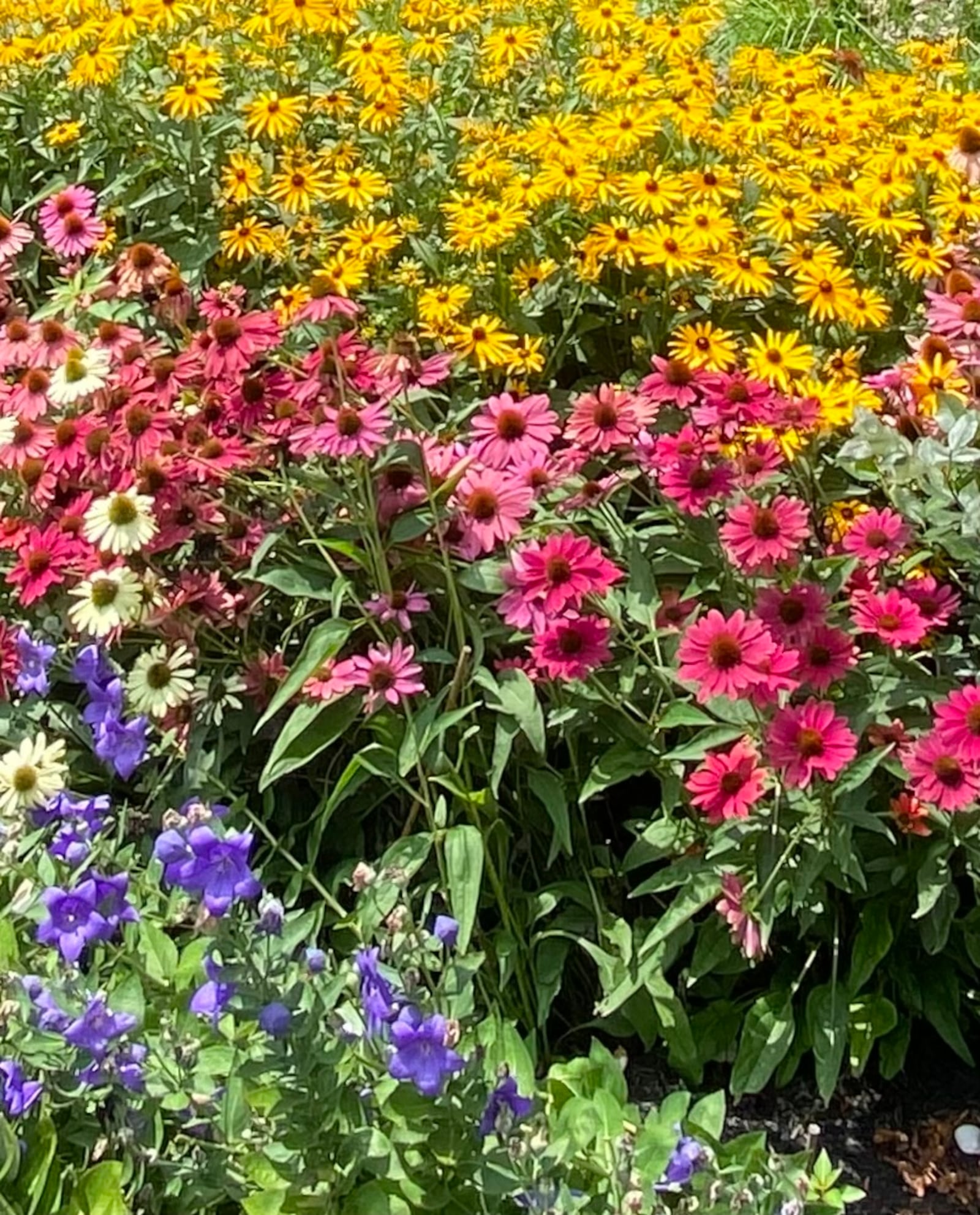 "This will be my 3rd year going to the tour with my sister," said Kathleen Hayes of Centerville. " We love seeing what other gardeners are doing. It’s a great time for us to spend time together."Photo credit: Kimberly Robinson.