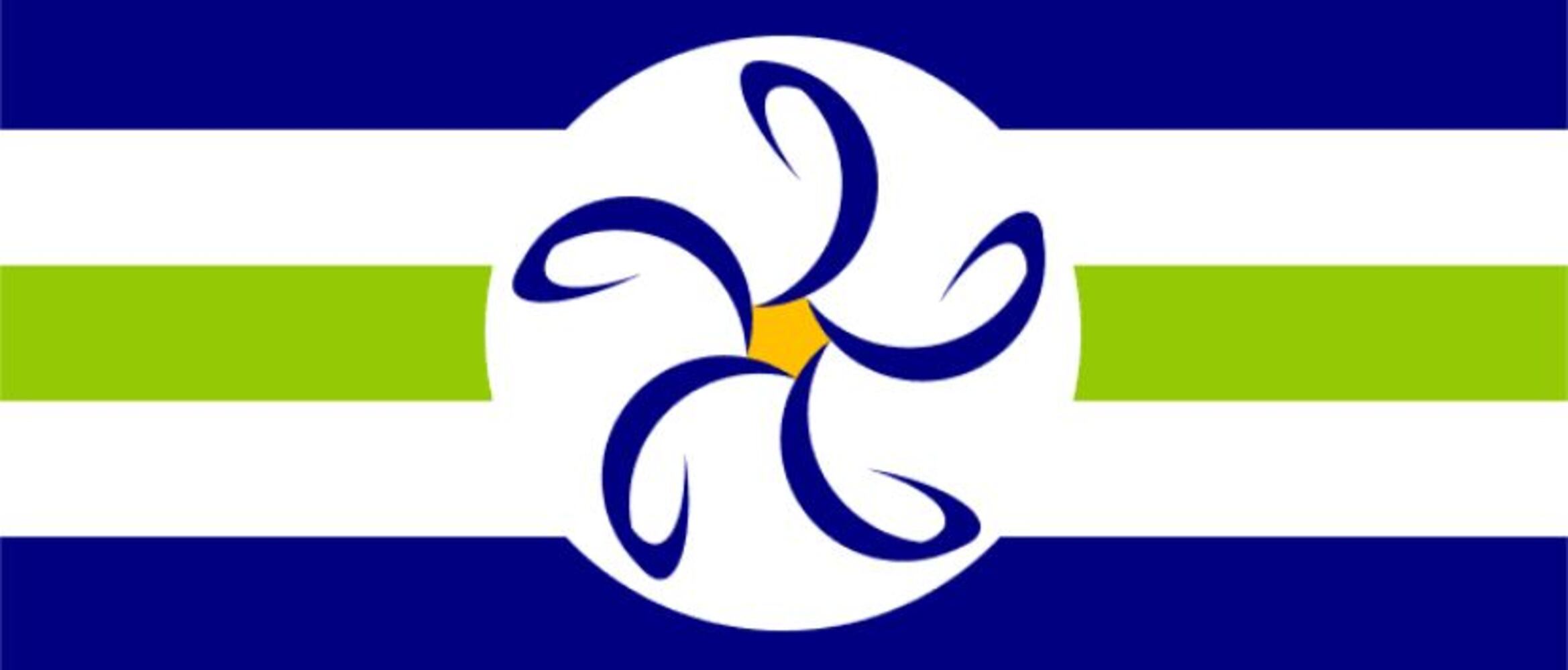 PHOTOS: See some of the Dayton flag submissions