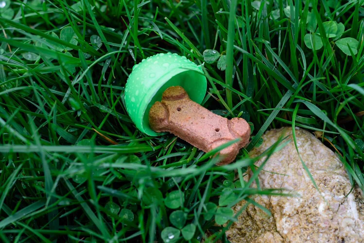 PHOTOS: Paws in the Park Egg Hunt in Fairborn