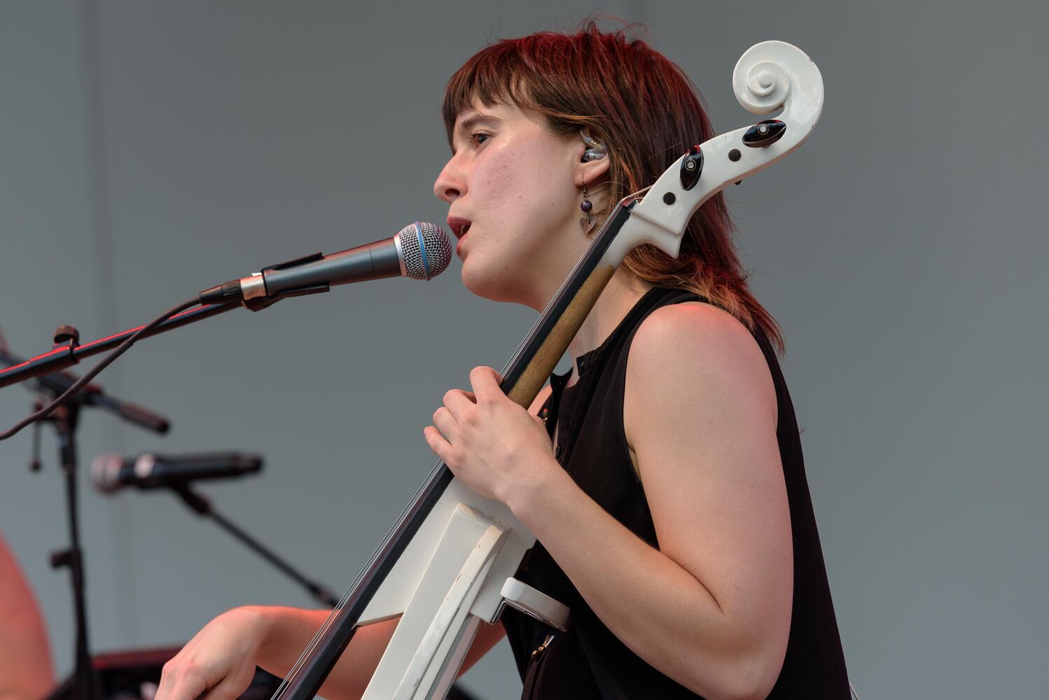 PHOTOS: Lung & Freya's Felines Live at Levitt Pavilion