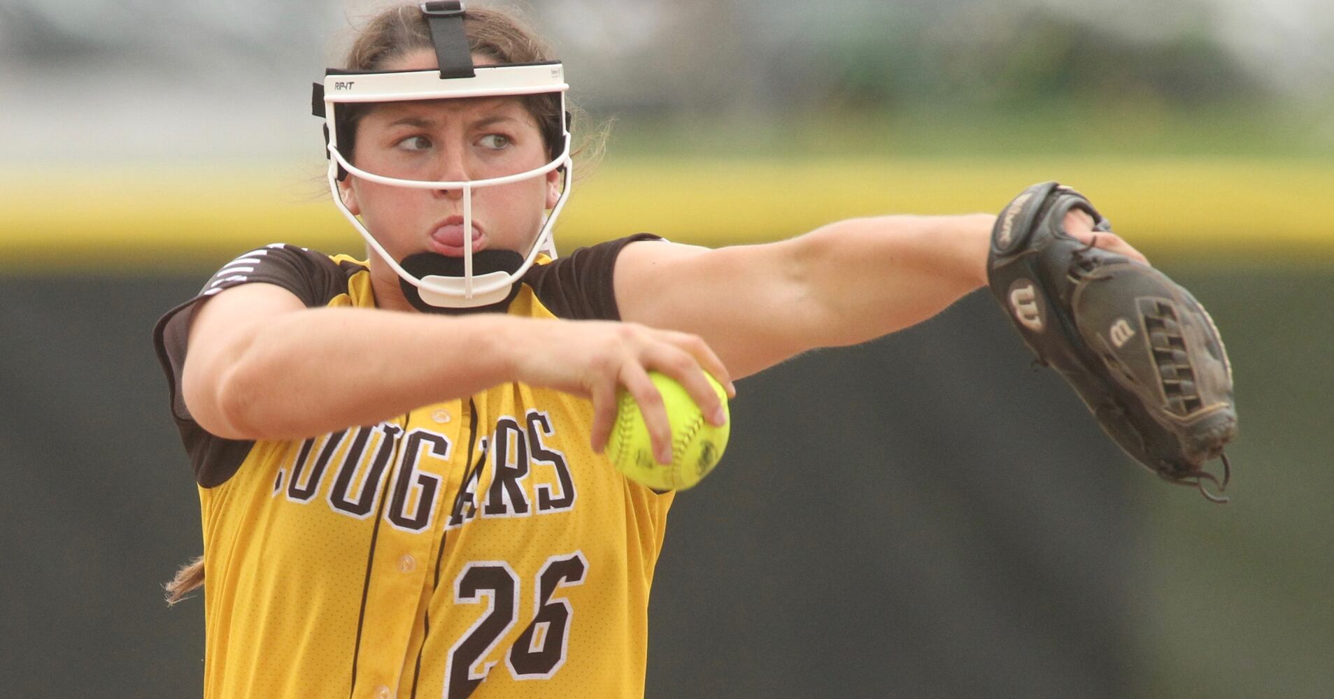 Photos: Kenton Ridge vs. Northwestern in Division II sectional softball final
