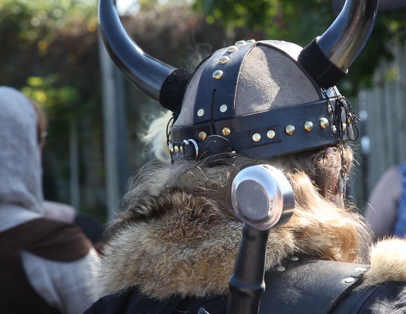 Ohio Renaissance Festival