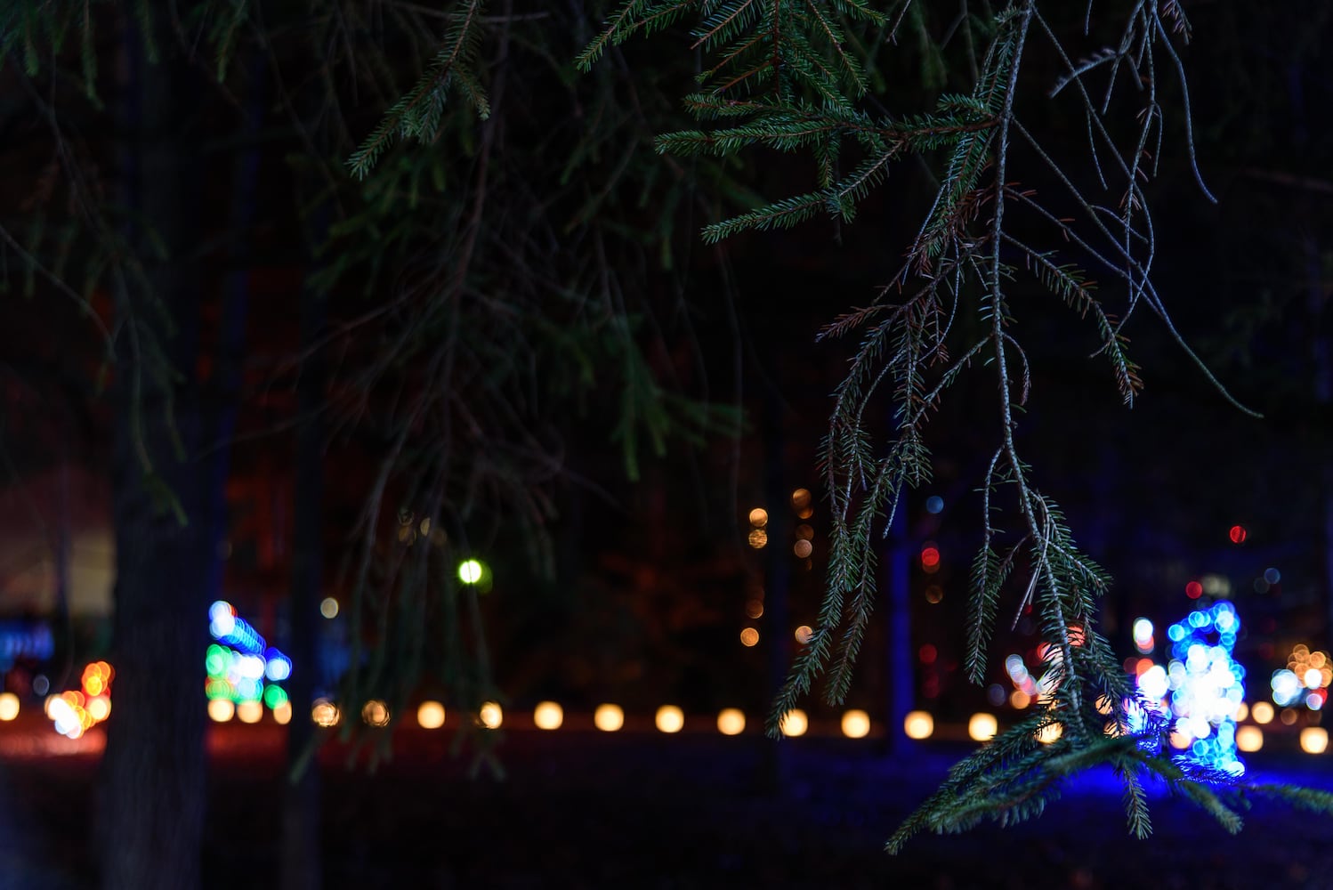 PHOTOS: A walk through Woodland Lights in Washington Township