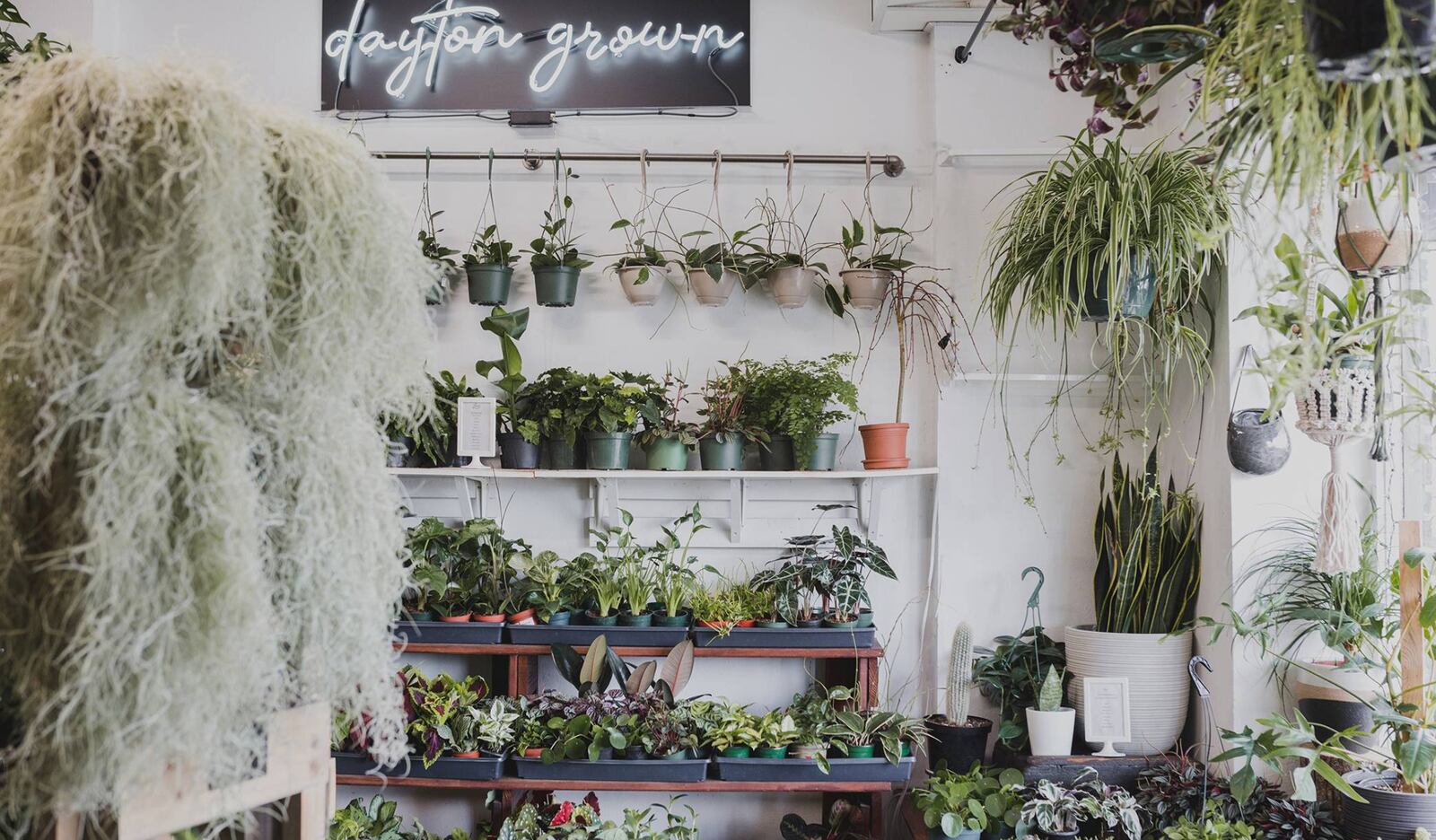 Luna Gifts & Botanicals strikes a nice tone and presents a variety of inventory that compliments itself well. 
