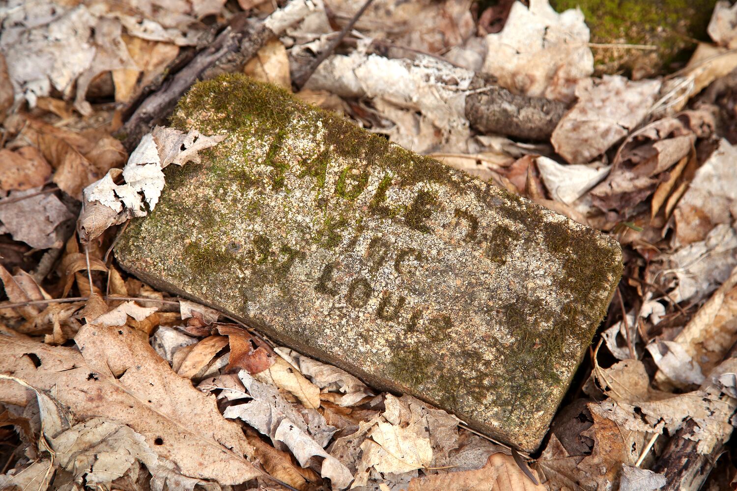 PHOTOS: Long-abandoned amusement park lives on in Possum Creek MetroPark