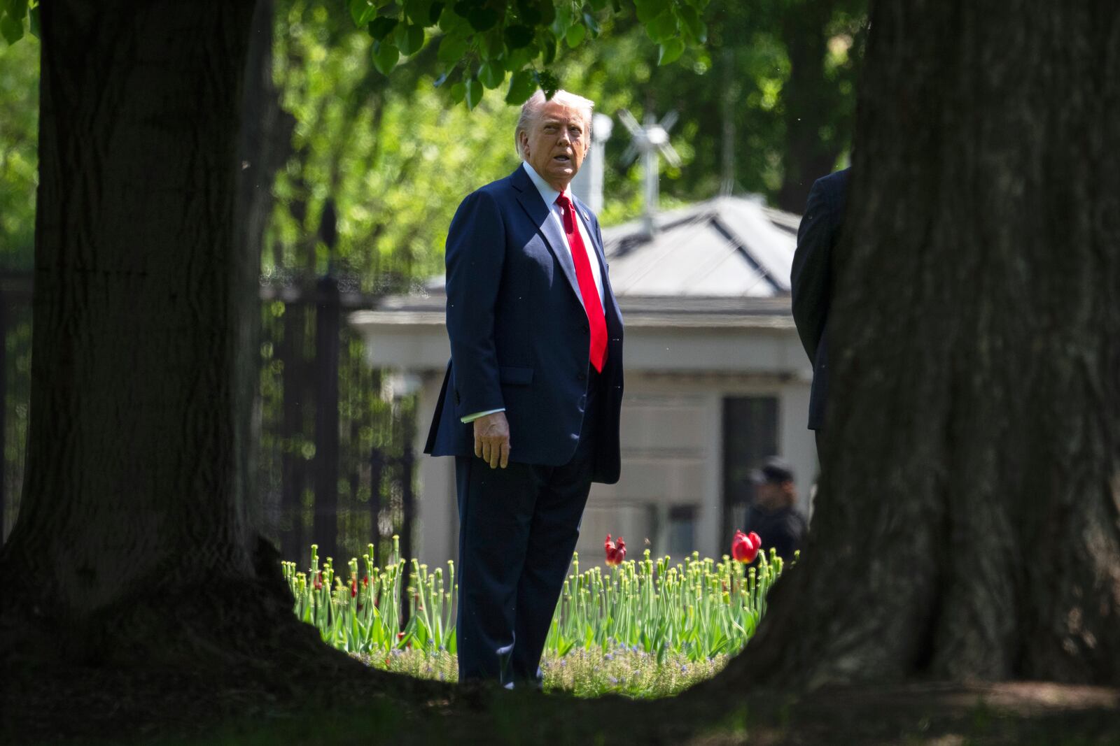 President Donald Trump stands on the North Lawn of the White House in Washington, Wednesday, April 23, 2025, in Washington. (AP Photo/Mark Schiefelbein)