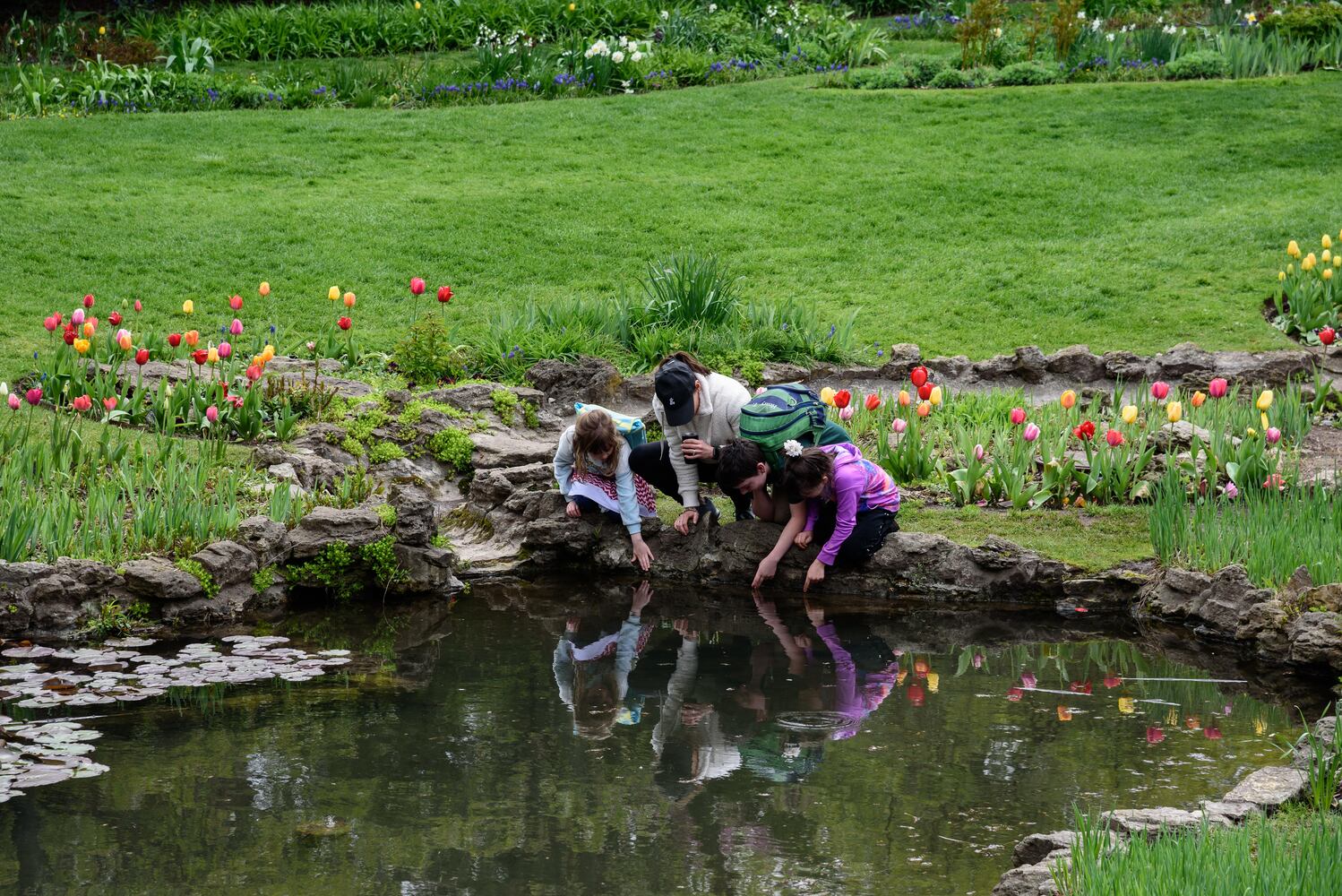 PHOTOS: Multi-colored tulips are in full bloom at Smith Memorial Gardens