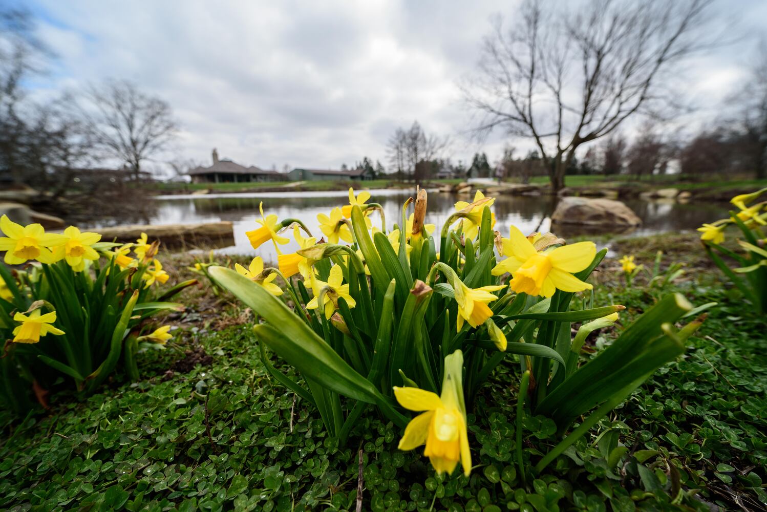 PHOTOS: Take a walk through beautiful Cox Arboretum this spring