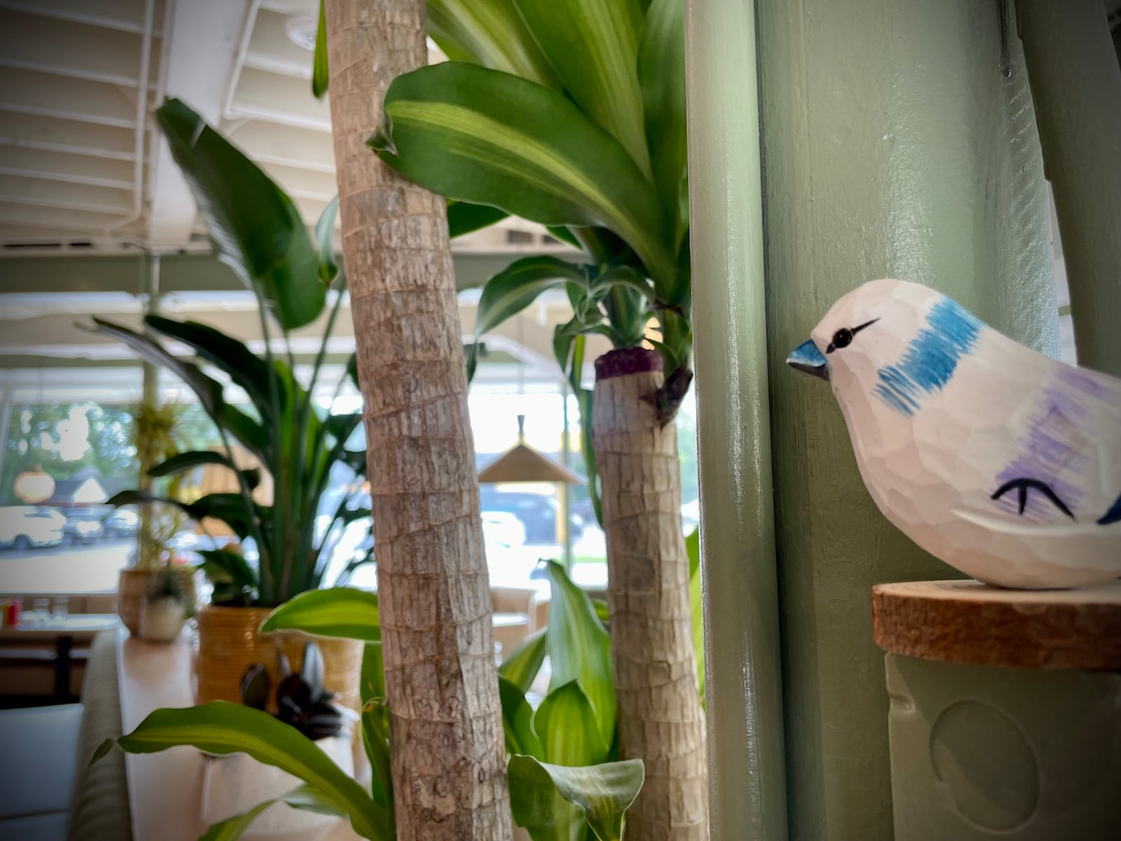 Three Birds is located at 1025 Shroyer Road in Dayton near the border with Oakwood. NATALIE JONES/STAFF