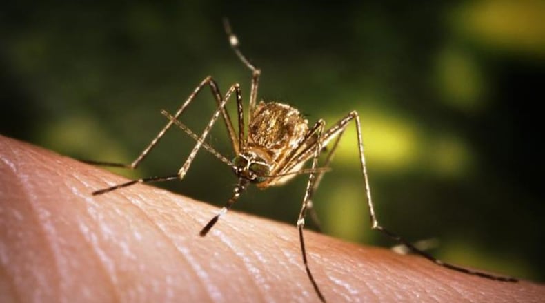 Ohio West Nile virus levels highest since 2012