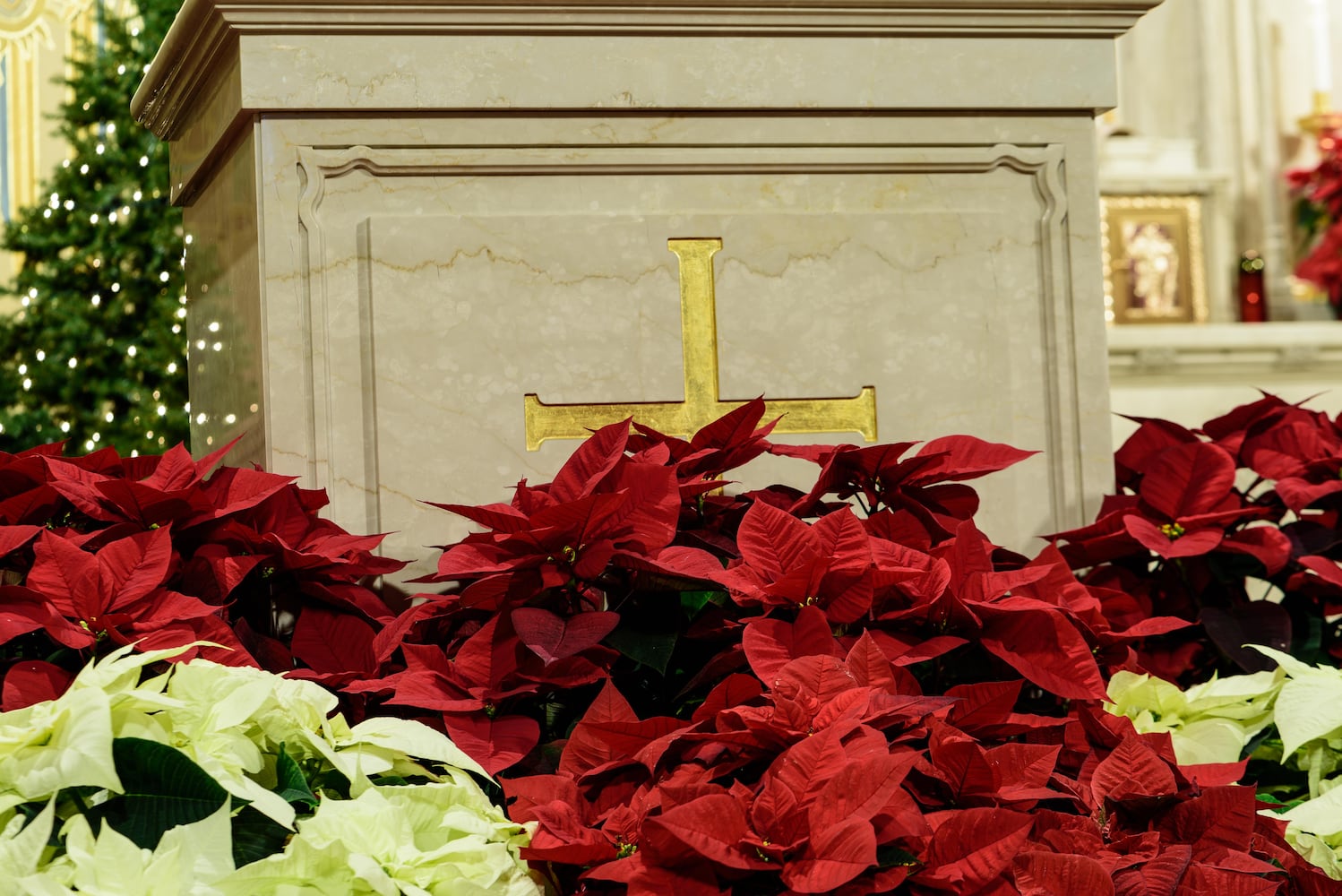 PHOTOS: A look inside Holy Angels Catholic Church decorated for Christmas