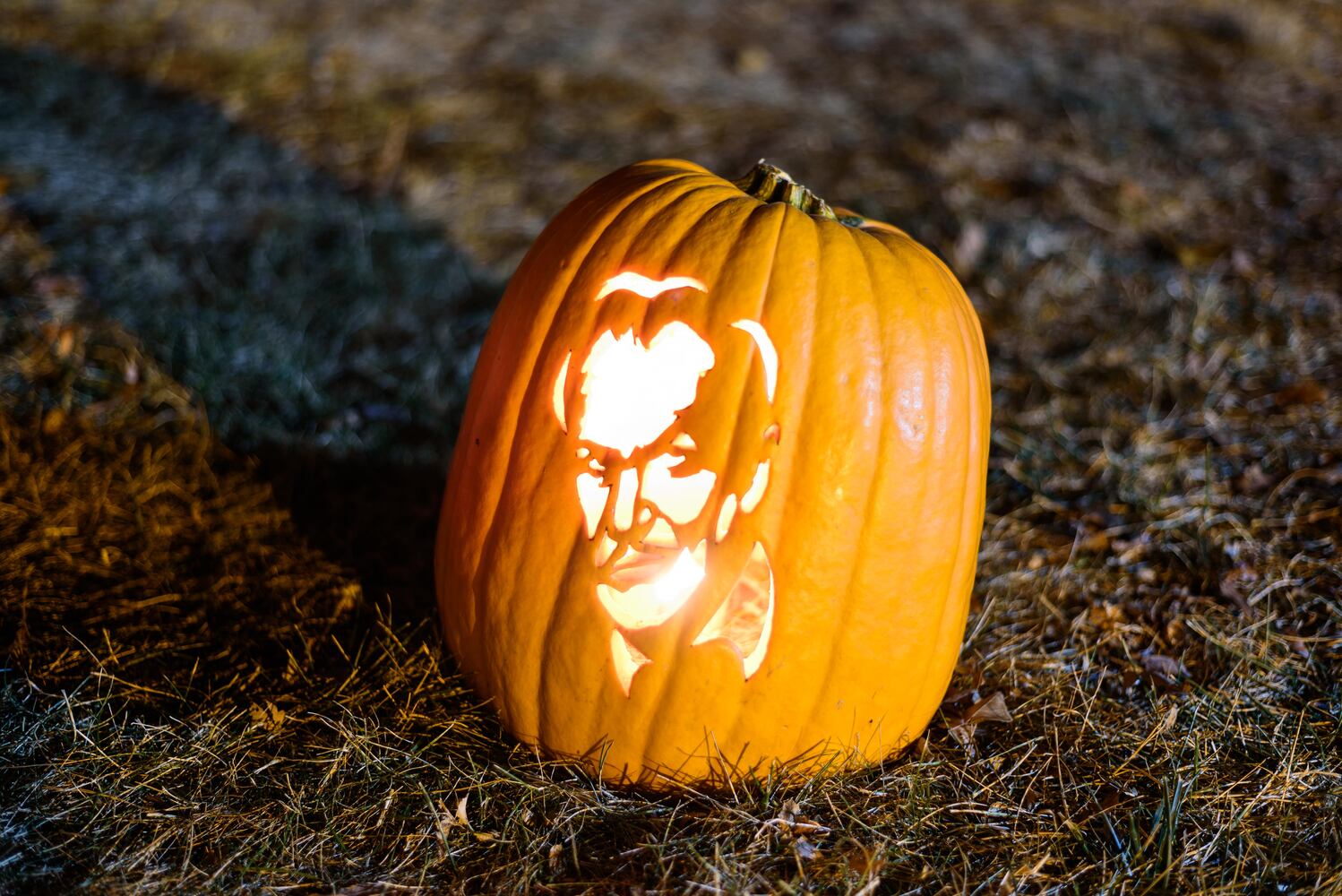 PHOTOS: The Stoddard Avenue Pumpkin Glow
