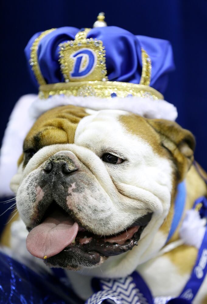 News hounds (4/23/15)
