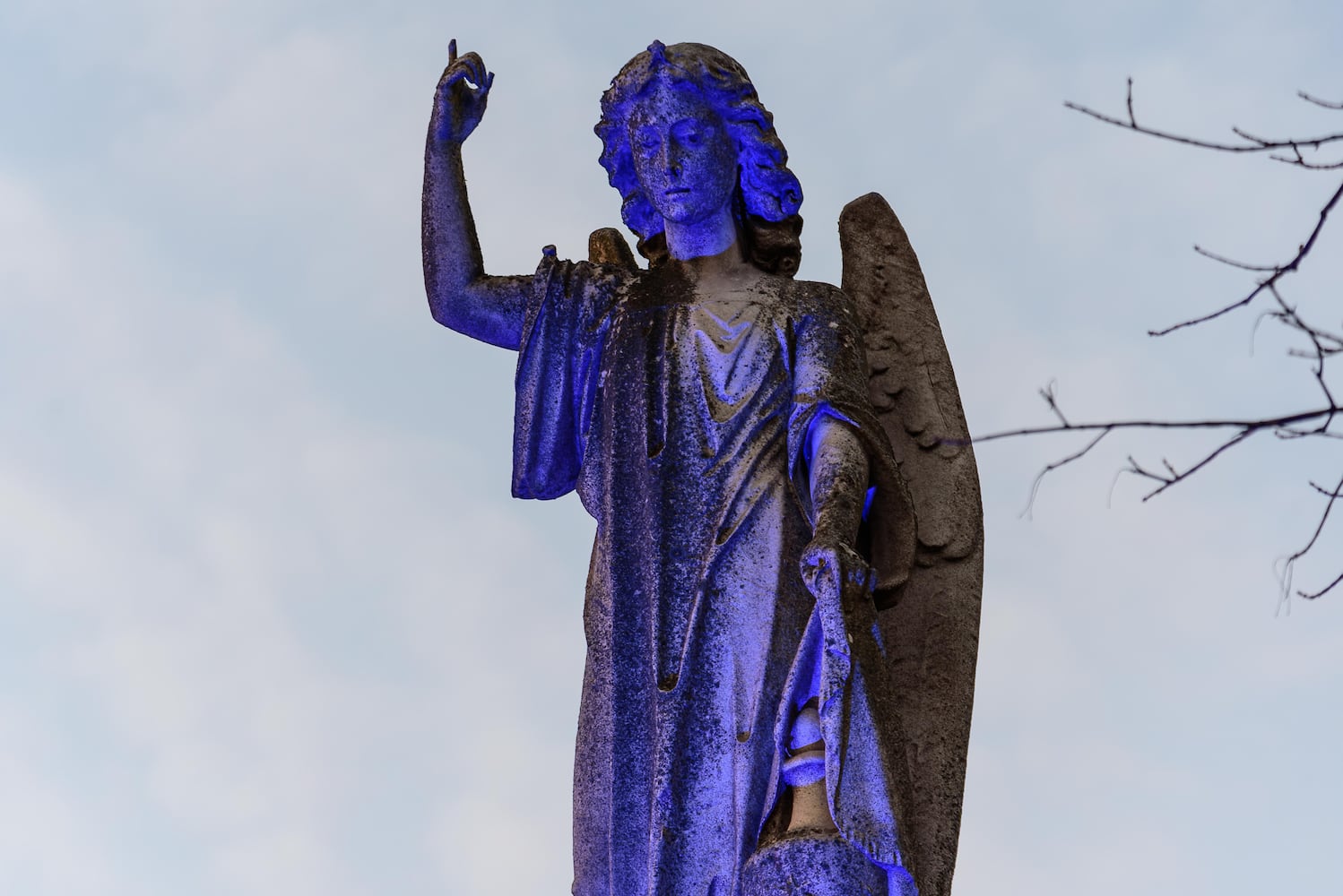 PHOTOS: Angel Night at Calvary Cemetery