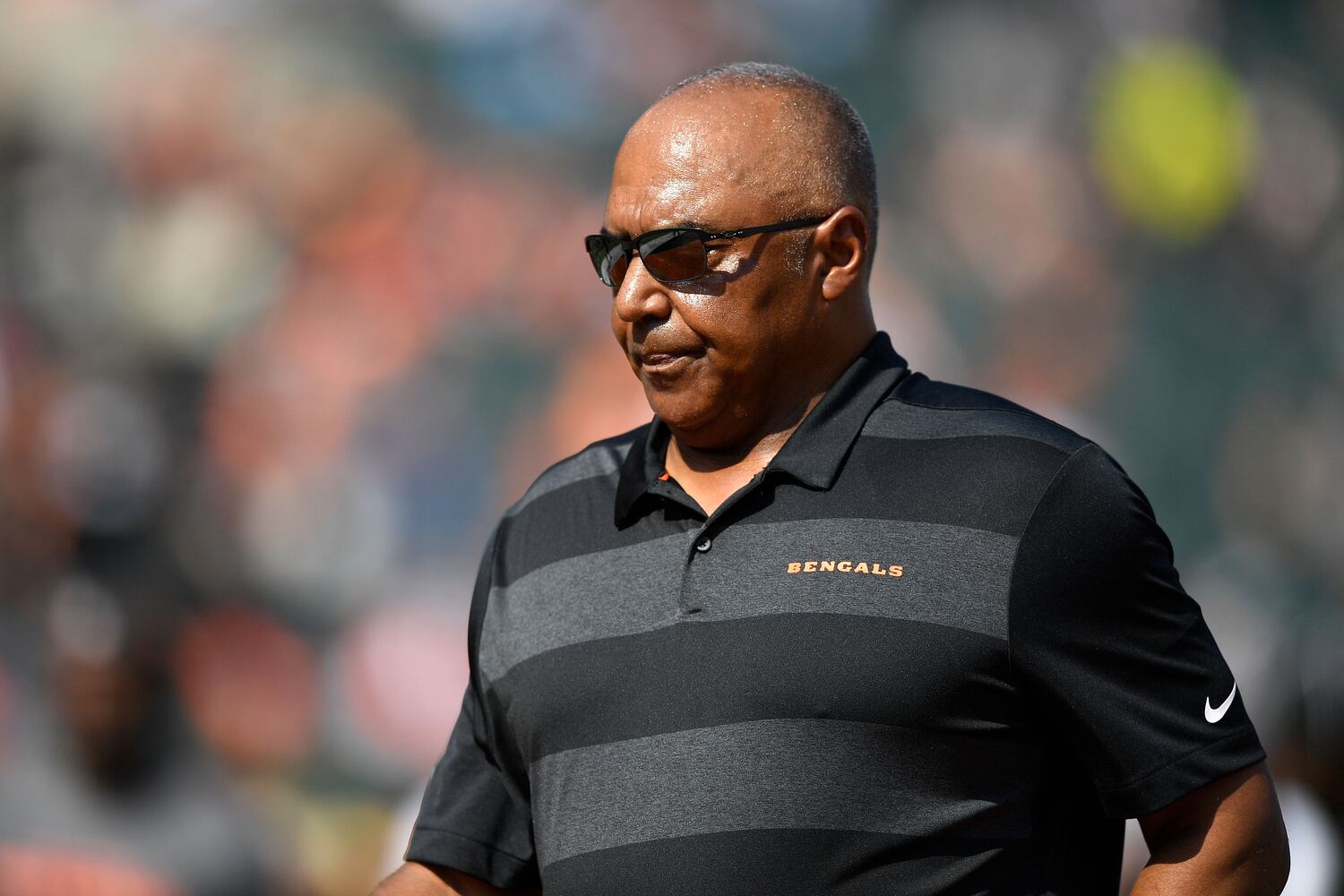 bengals dolphins gallery