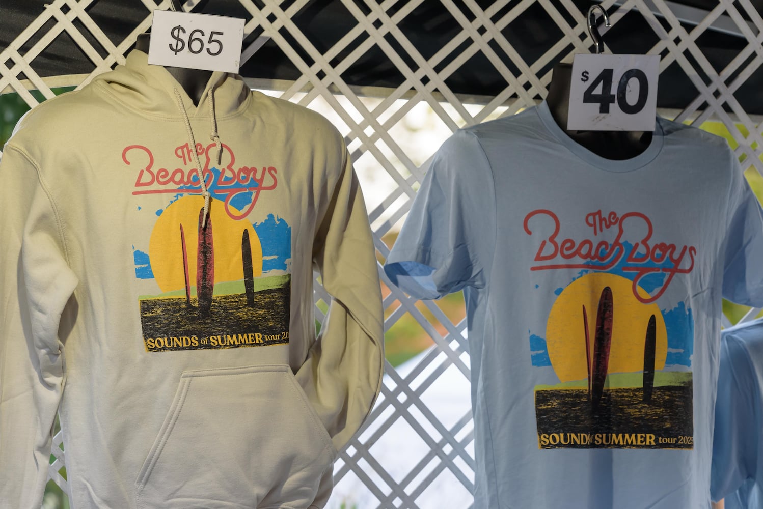 PHOTOS: The Beach Boys perform at Fraze Pavilion
