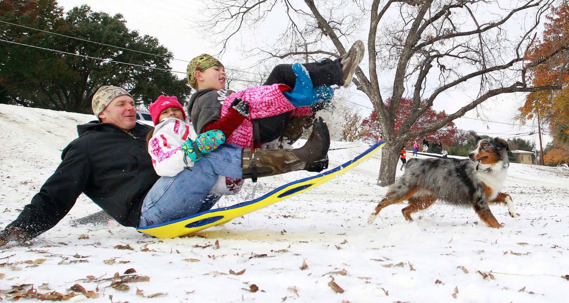 News hounds (12/12/2013)