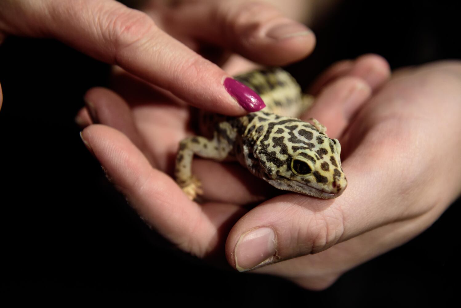 PHOTOS: EUREKA! A science experiment for grown-ups