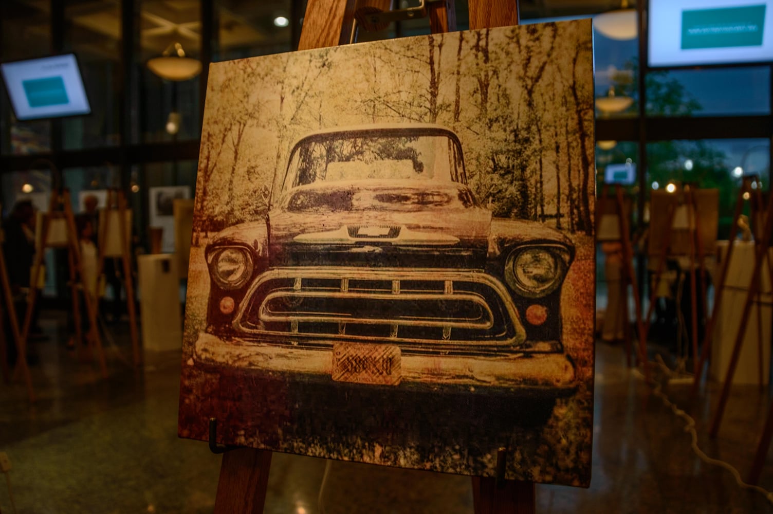 PHOTOS: DVAC Art Auction 2017
