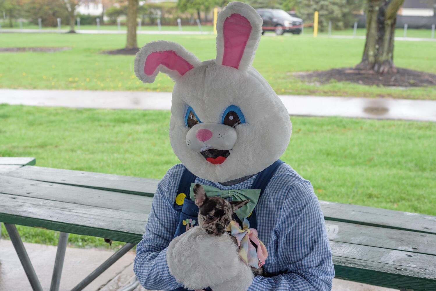 PHOTOS: Paws in the Park Egg Hunt in Fairborn