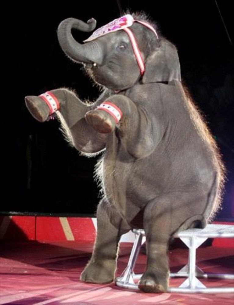 The Antioch Shrine Circus