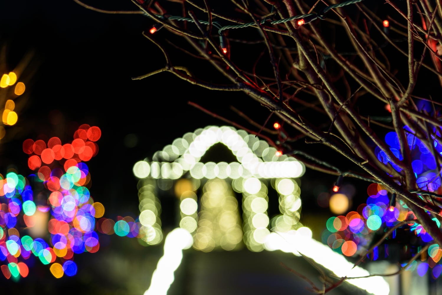 PHOTOS: Christmas Light Spectacular at Cedar Springs Pavilion