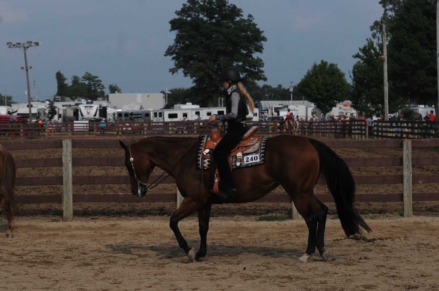 PHOTOS: Did we spot you at the Great Darke County Fair?