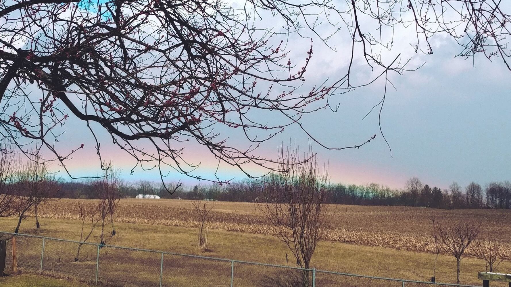 PHOTOS: After the storm around the Miami Valley